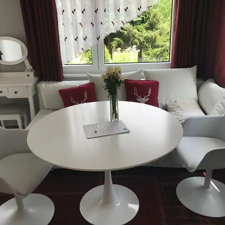 Ferienapartments Gohrisch Villa Schoenblick Apartment